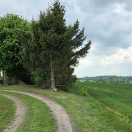 Dom na sprzedaż